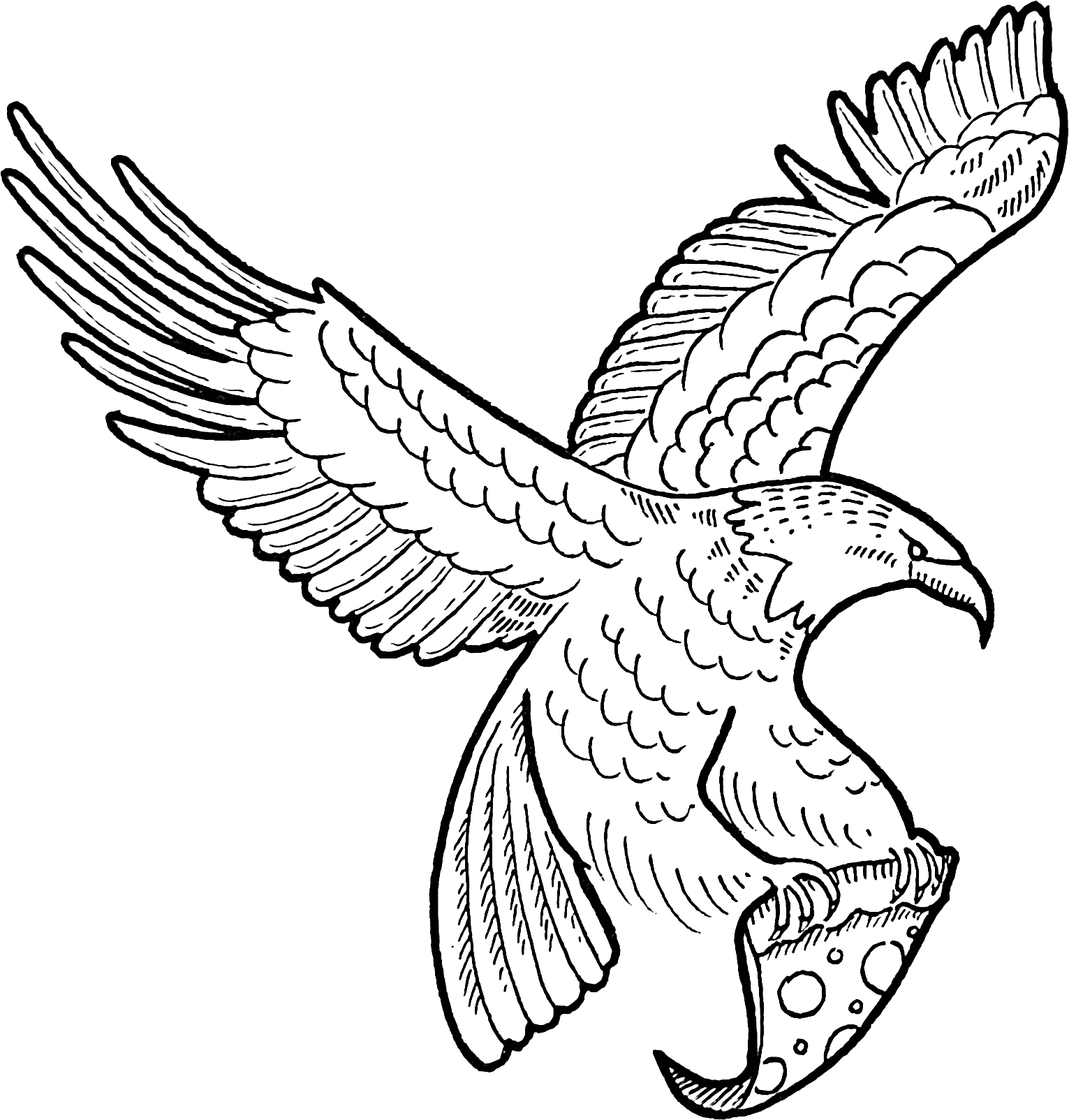 bald eagle flying and holding a slice of pizza in its talons