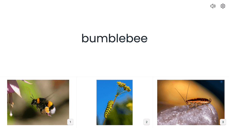 the word "bumblebee" and then a photo of three insects below it